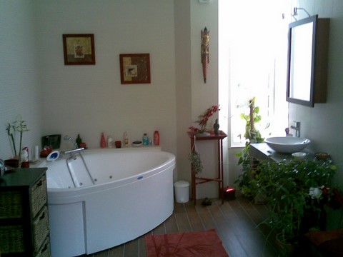 Salle de bain Baignoire balnéo